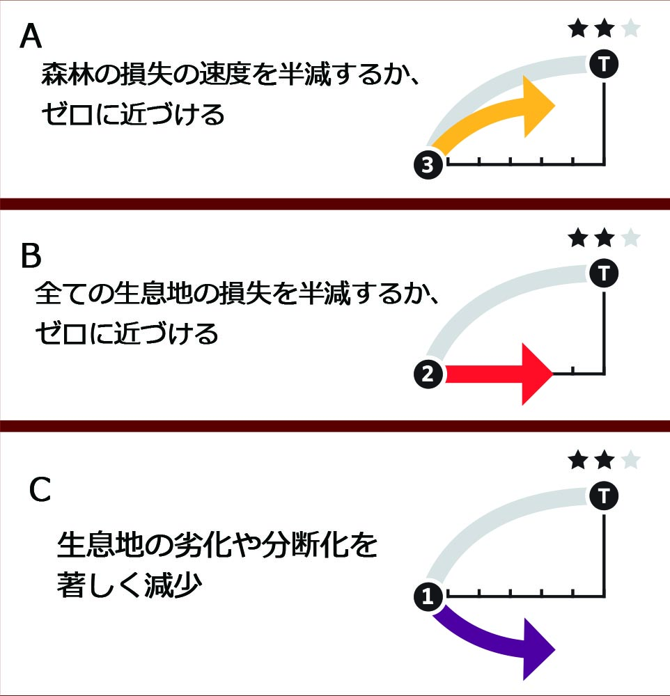 ターゲット5